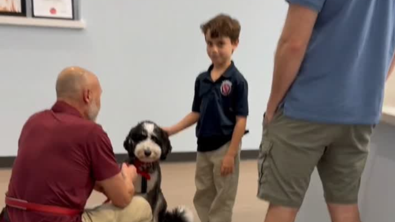 Puppy Greeting- 1
