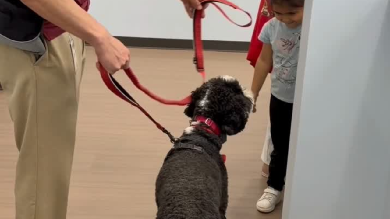 Puppy Greeting- 2